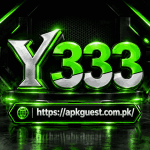 Y333 Game